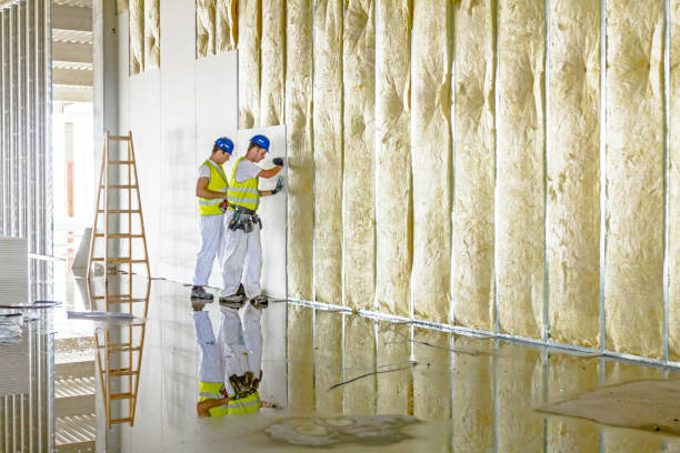 Best Energy Efficiency Solutions in Chleston, AR